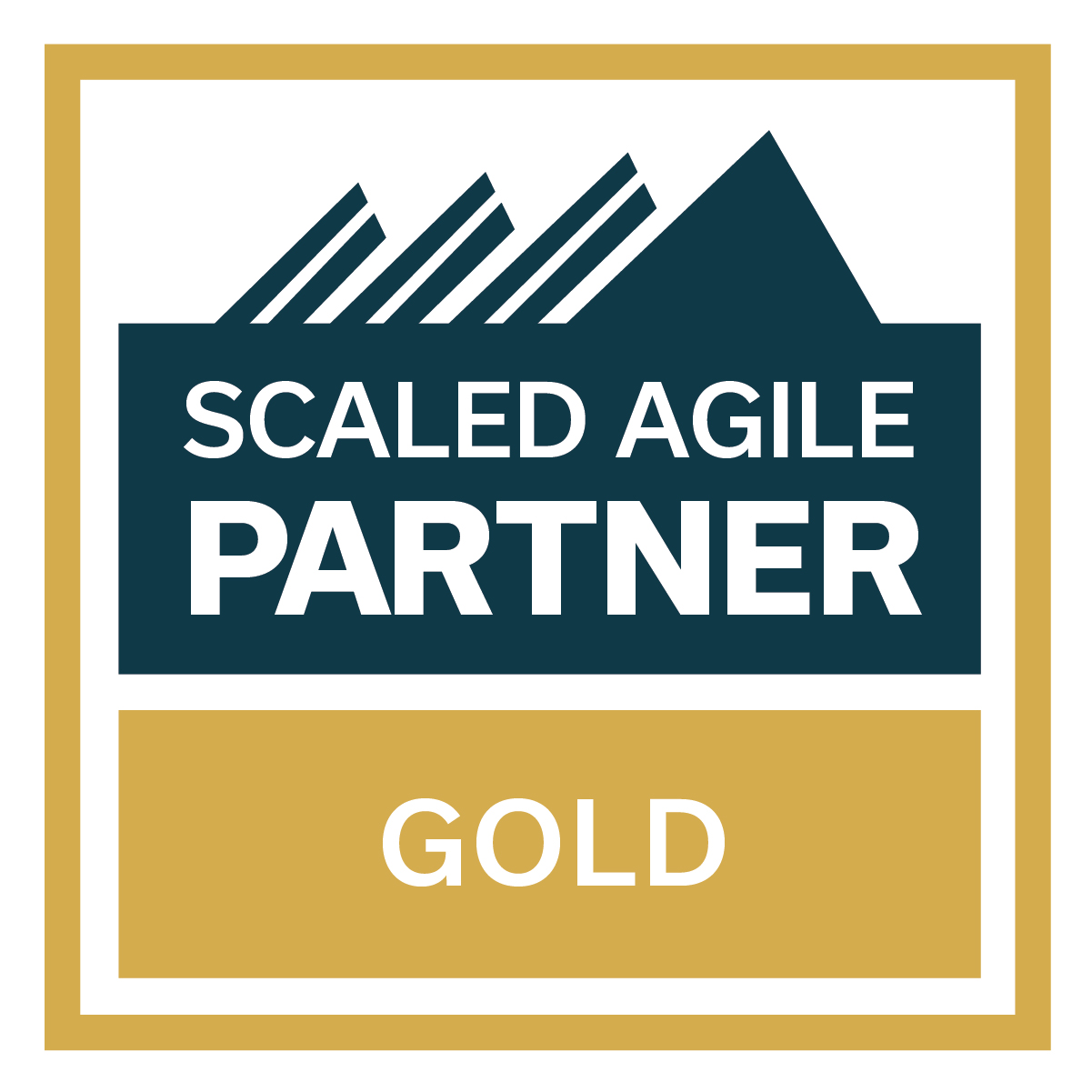 SAI_Partner